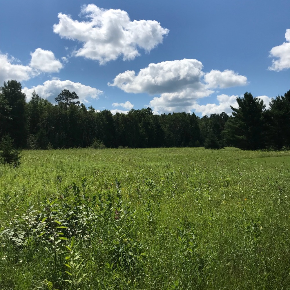 Meet your Posher, Jack